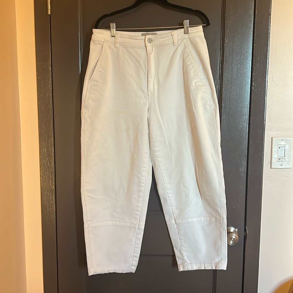 Everlane Barrel leg ankle jeans